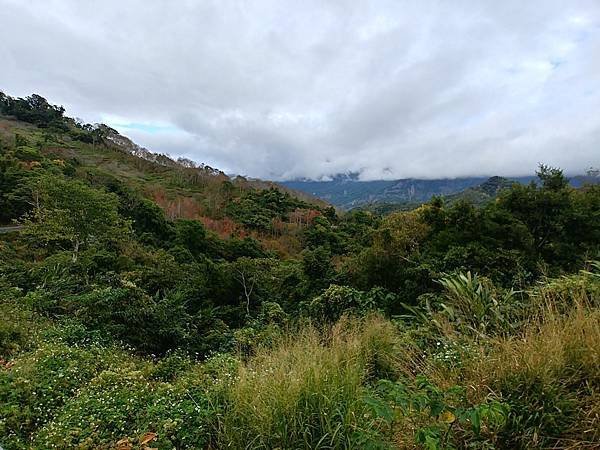 20171229_153035_HDR (Large).jpg