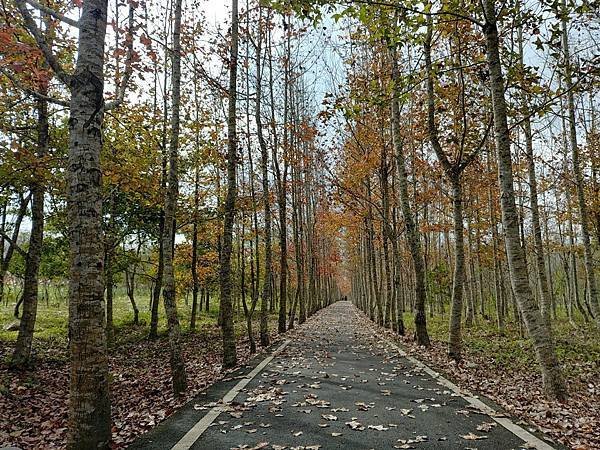 20171230_111930 (Large).jpg