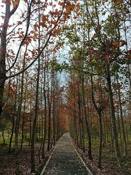 20171230_111947_HDR (Large).jpg