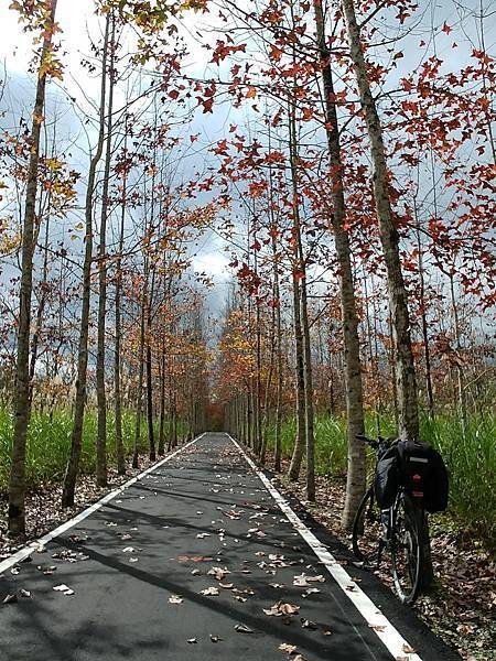 20171230_112406_HDR (Large).jpg