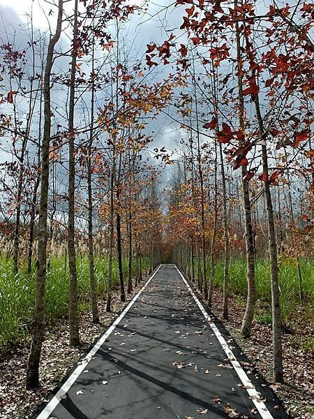 20171230_112359_HDR (Large).jpg