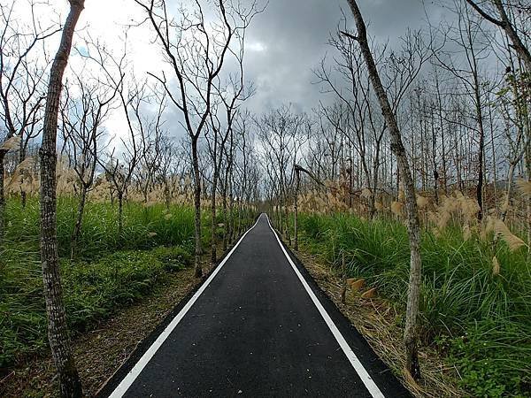 20171230_112842_HDR (Large).jpg