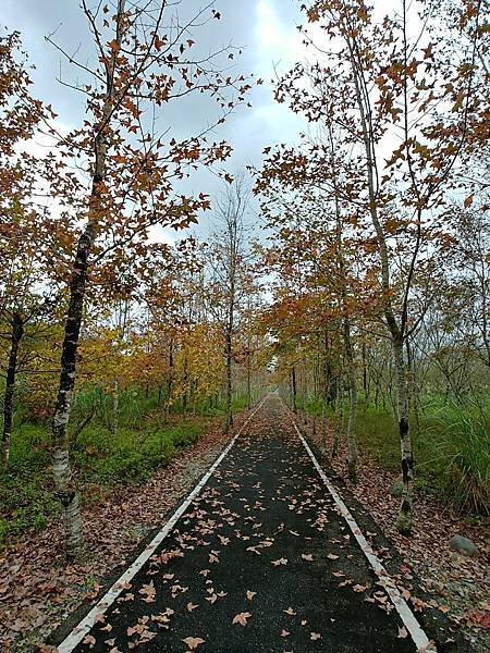 20171230_114022_HDR (Large).jpg