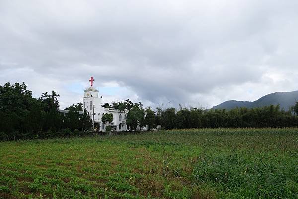 DSC09194 (Large).JPG