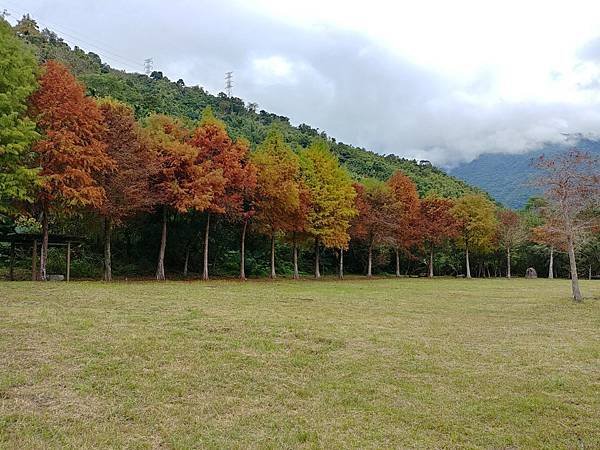20171230_130957_HDR (Large).jpg