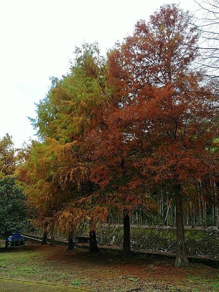 20171230_131249_HDR (Large).jpg