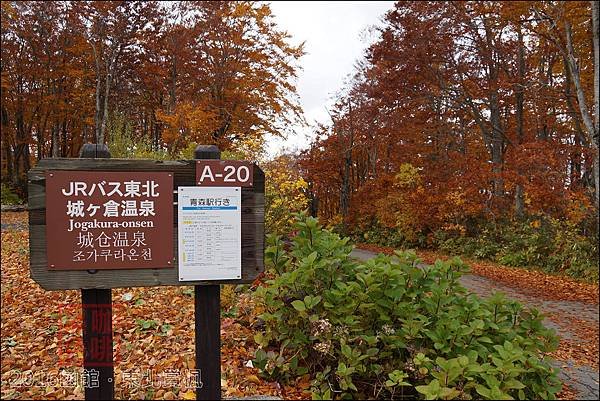 516.jpg