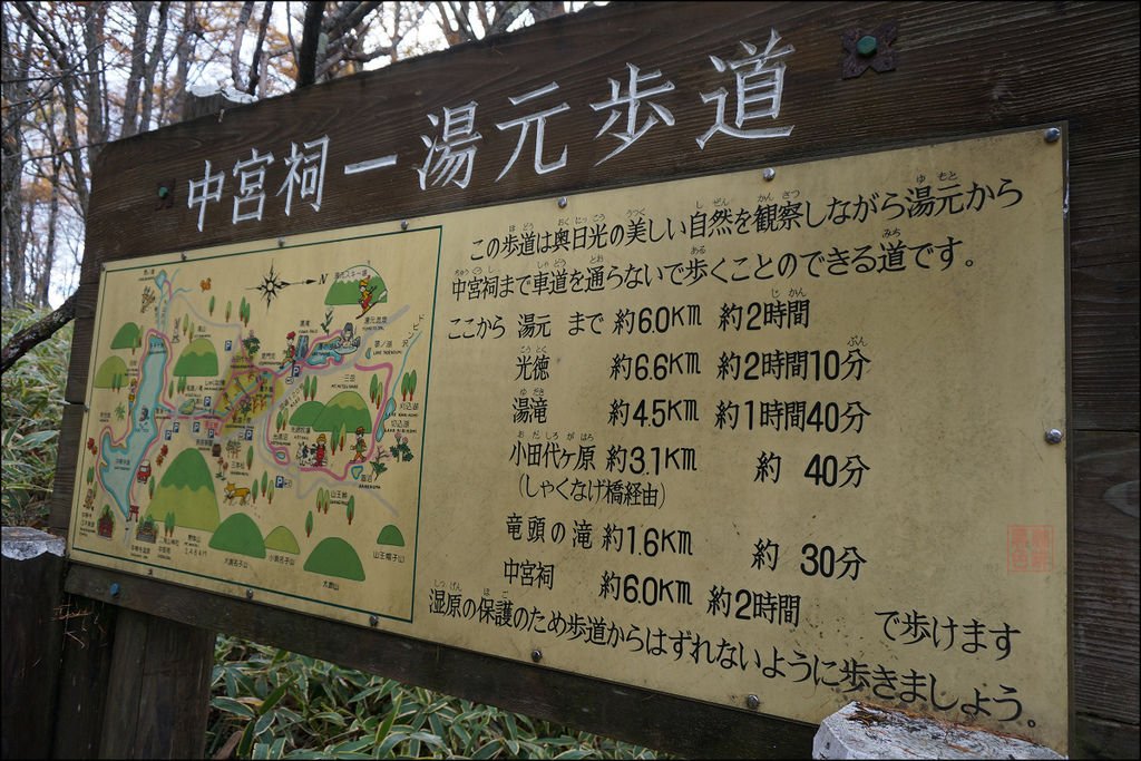 142.jpg