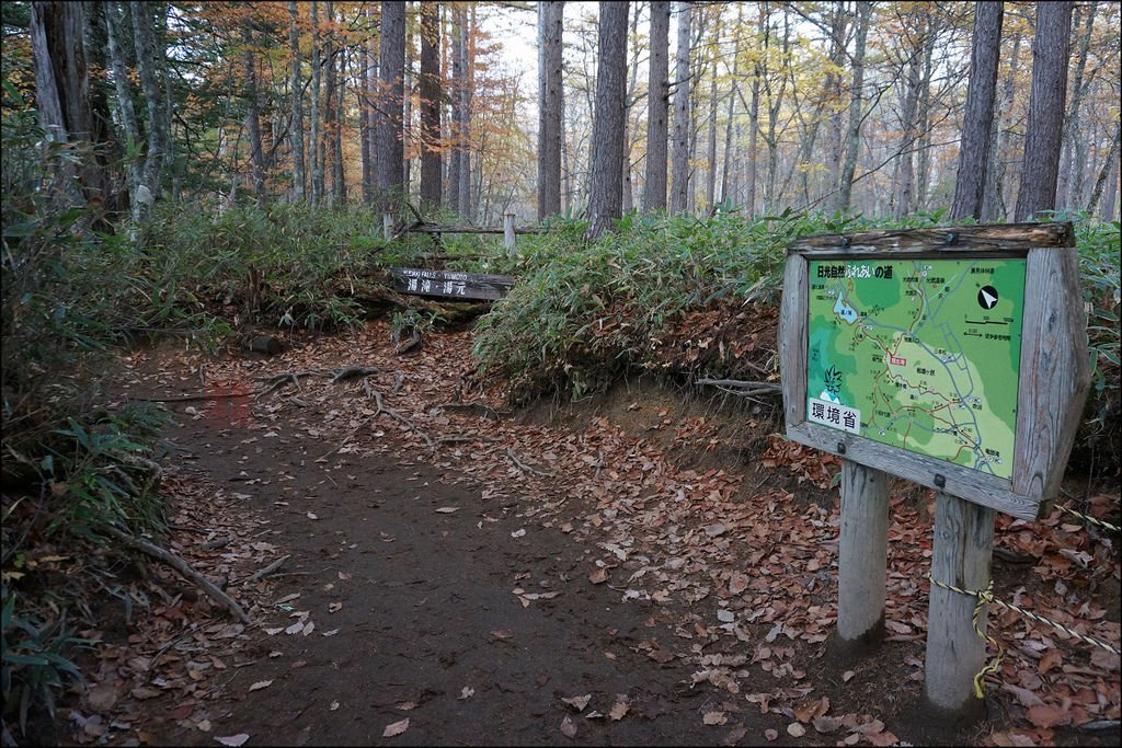 177.jpg
