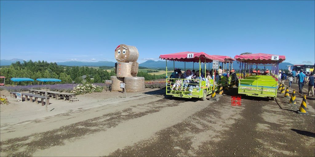 374.jpg