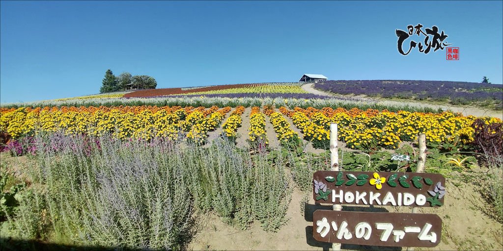 386.jpg