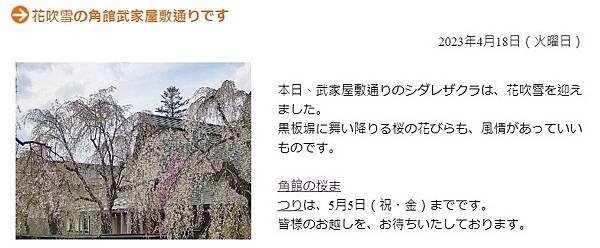 《賞櫻》【秋田．角館】檜木內川堤／武家屋敷通．賞櫻名勝百選名