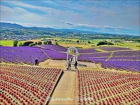 【行程幫你排好了】使用「JR北海道札幌 - 富良野區鐵路周遊