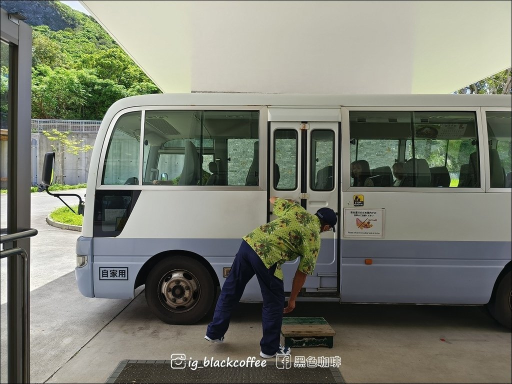 【沖繩．北部】山原國立公園．大石林山，4條路線完整介紹