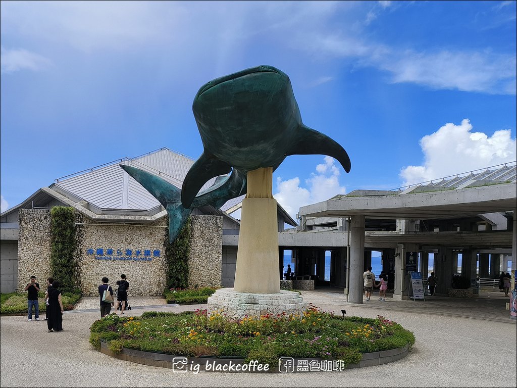 【沖繩．北部】沖繩美麗海水族館 (沖縄美ら海水族館)．詳細解