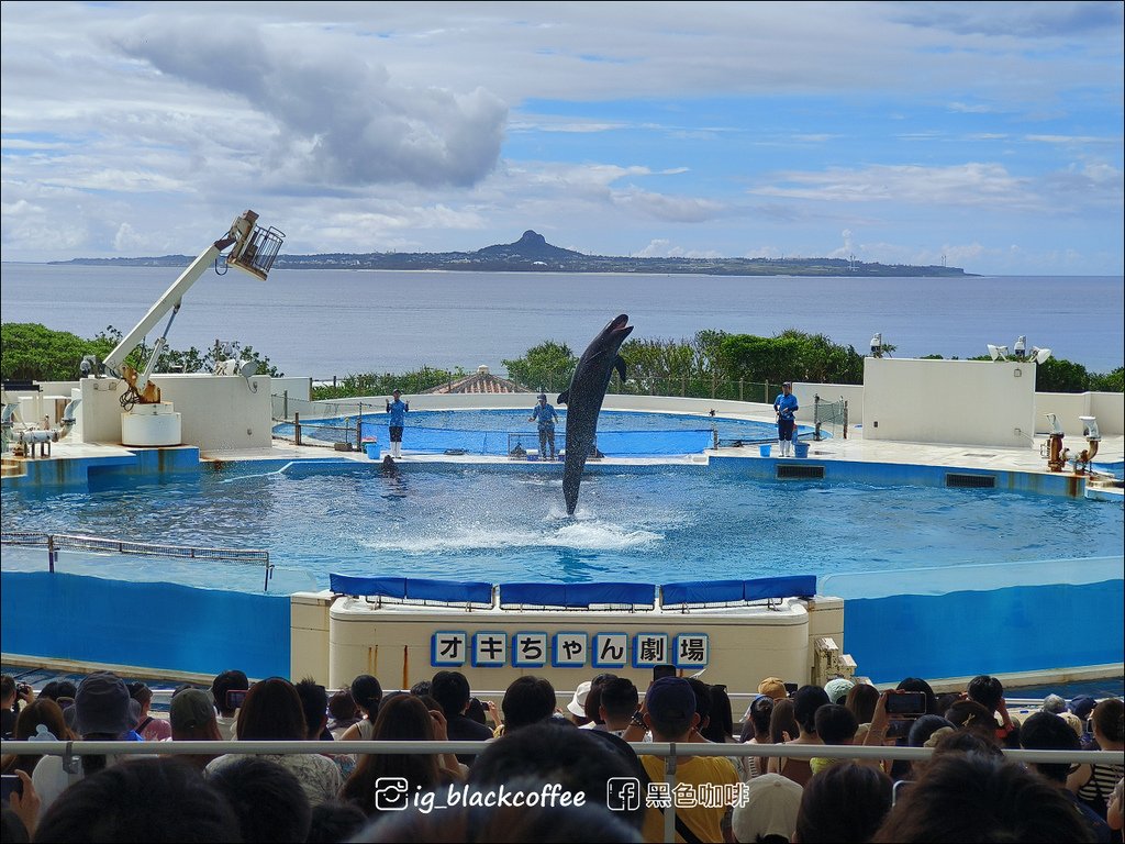 【沖繩．北部】沖繩美麗海水族館 (沖縄美ら海水族館)．詳細解