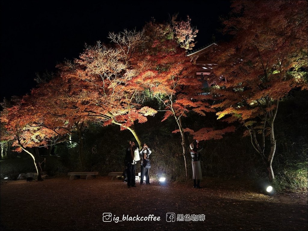 《KKDAY》【京都．宇治】世界遺產「平等院」・2024 秋