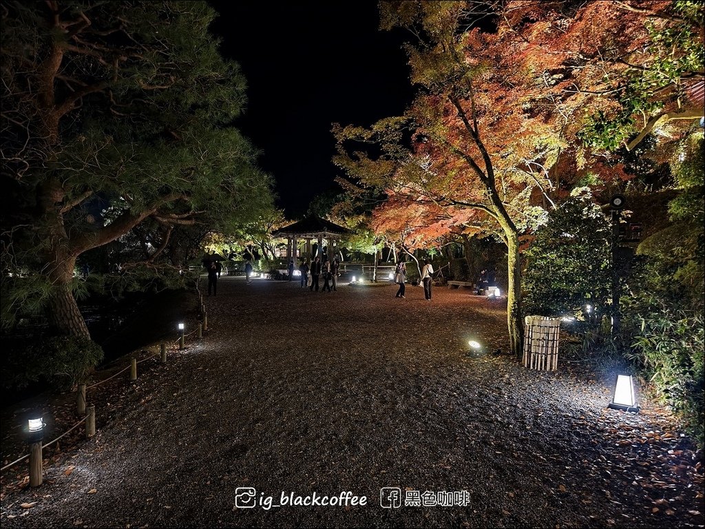 《KKDAY》【京都．宇治】世界遺產「平等院」・2024 秋