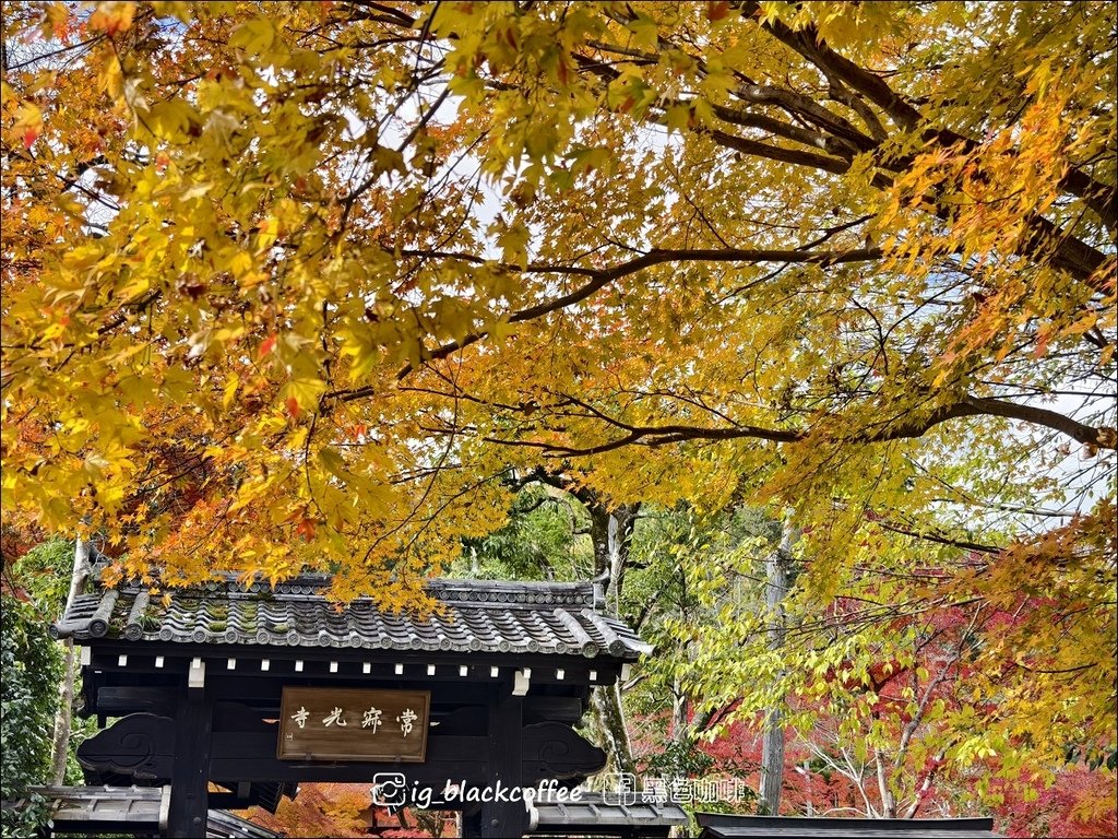 《遊》【京都．嵐山】紅葉名所．常寂光寺