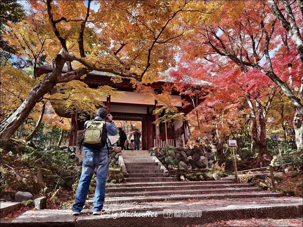 《遊》【京都．嵐山】紅葉名所．常寂光寺