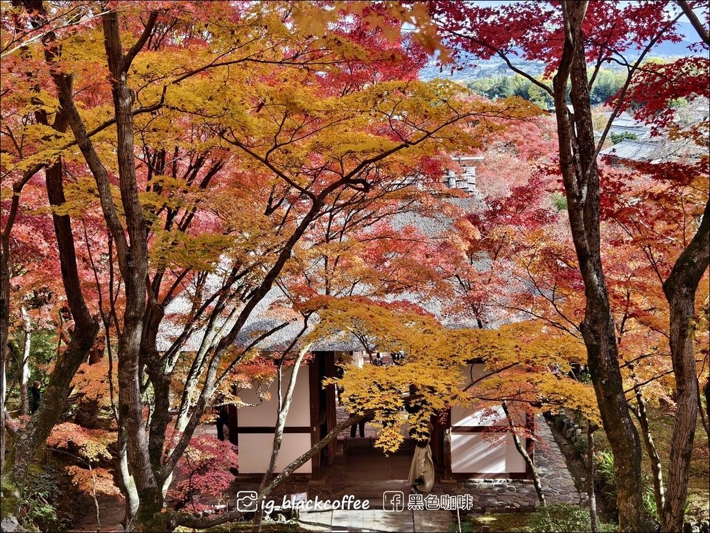 《遊》【京都．嵐山】紅葉名所．常寂光寺