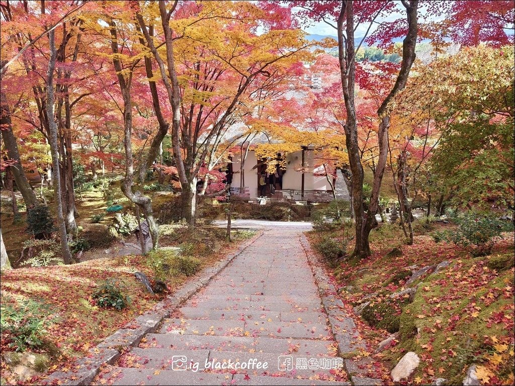 《遊》【京都．嵐山】紅葉名所．常寂光寺