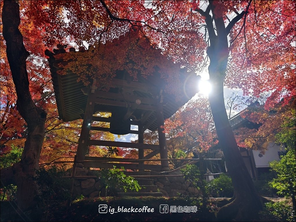 《遊》【京都．嵐山】紅葉名所．常寂光寺