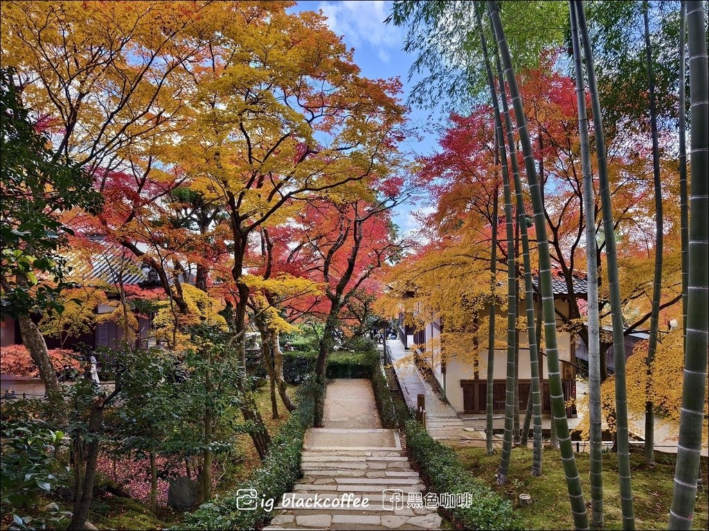 《遊》【京都．嵐山】紅葉名所．常寂光寺