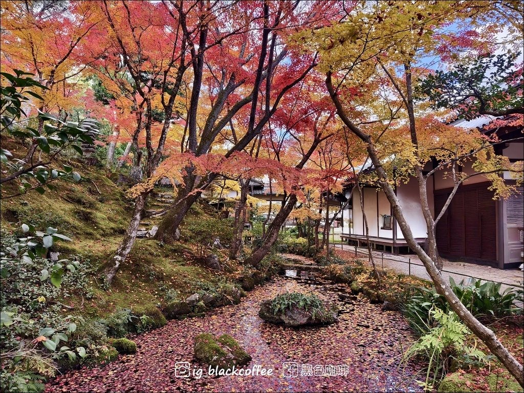 《遊》【京都．嵐山】紅葉名所．常寂光寺