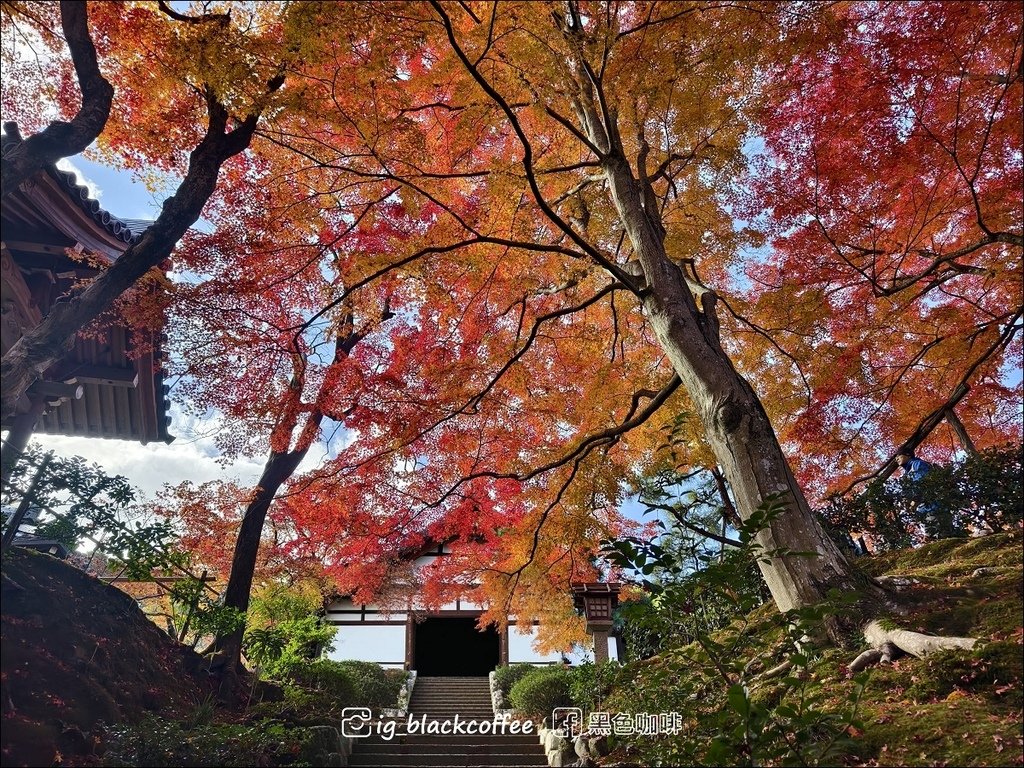 《遊》【京都．嵐山】紅葉名所．常寂光寺