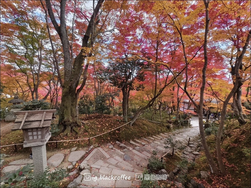 《遊》【京都．嵐山】紅葉名所．常寂光寺