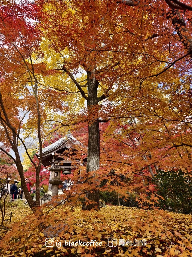 《遊》【京都．嵐山】紅葉名所．常寂光寺