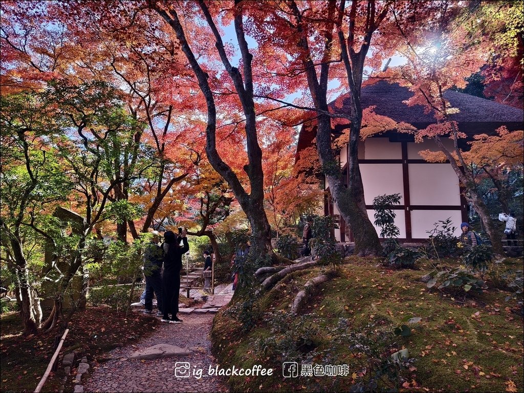 《遊》【京都．嵐山】紅葉名所．常寂光寺