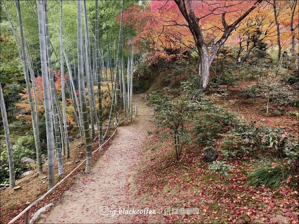 《遊》【京都．嵐山】紅葉名所．常寂光寺