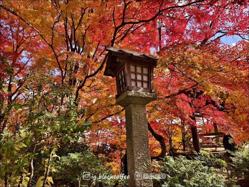 《遊》【京都．嵐山】紅葉名所．常寂光寺