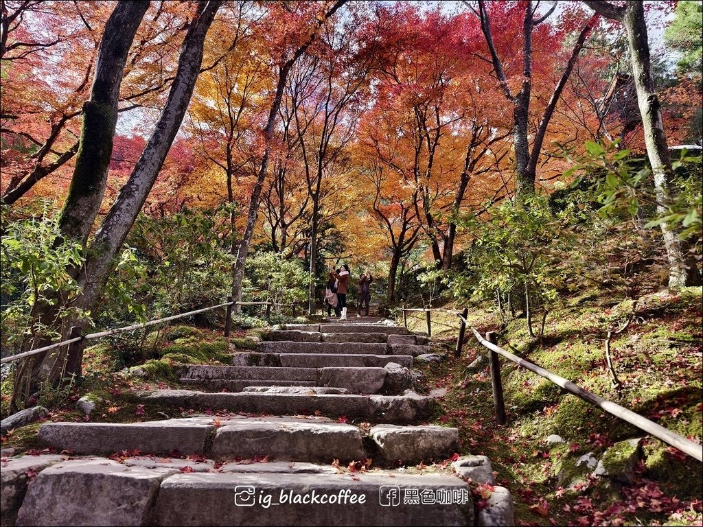 《遊》【京都．嵐山】紅葉名所．常寂光寺