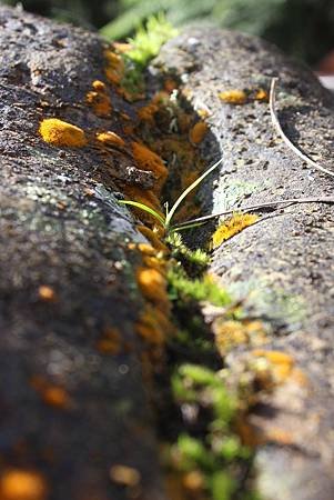 IMG_4656