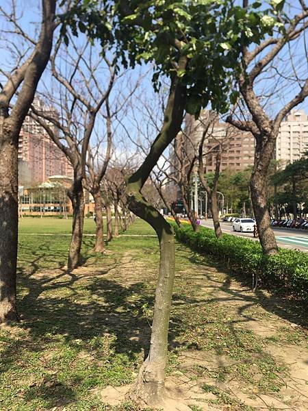 S__33038338.jpg