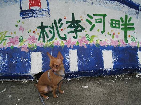 20110729 桃園中壢青埔的瑞士社區內不見的孩子.jpg