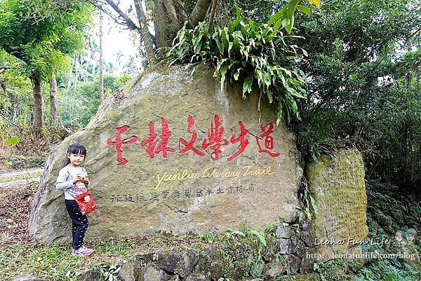 雲林古坑一日遊|踏青、美食、地方文化一次GET!小天梯、情人