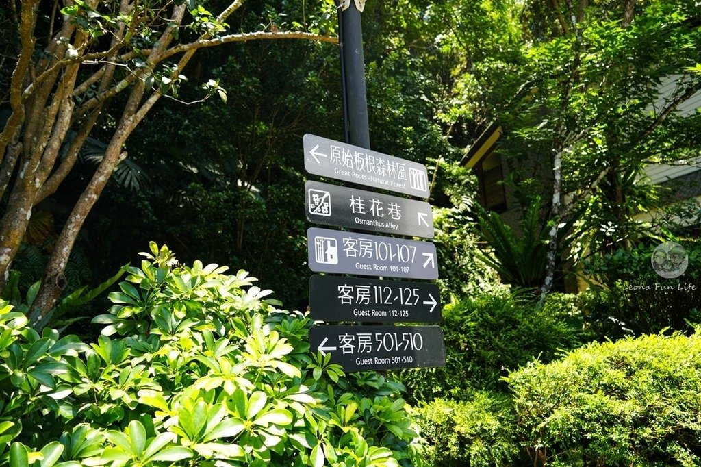 親子泡湯新選擇！觀景溫泉家庭套房開箱-山景、綠意、美人湯一次擁有大板根森林度假酒店DSC01039-2.jpg