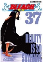 20090404BLEACH37.jpg