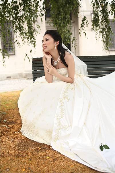 weddinggown.jpg