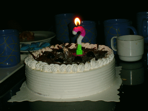 19.生日蛋糕(歲數是問號 哈哈哈).