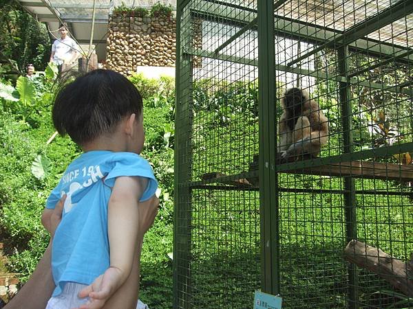 1020908翔1.9歲.到新竹森林鳥花園 (40)