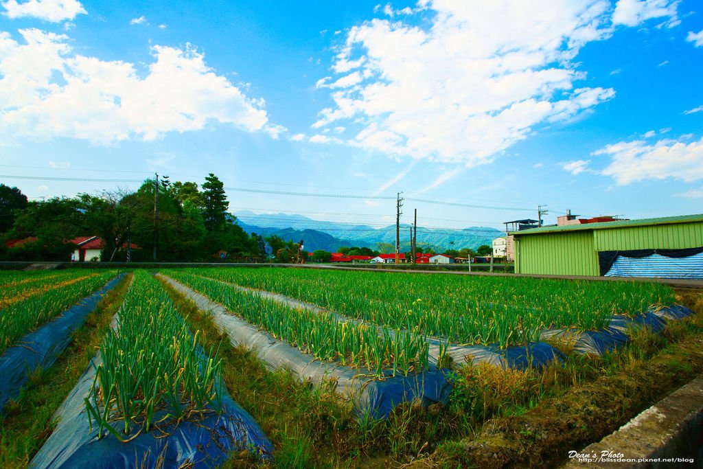 DSC04254-3.jpg