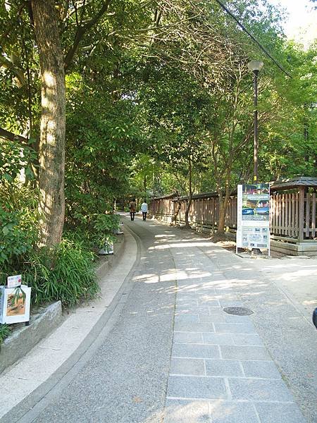 PA094969.JPG