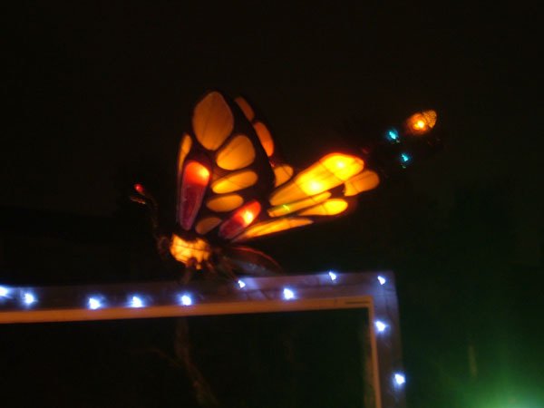 DSCF1619.JPG
