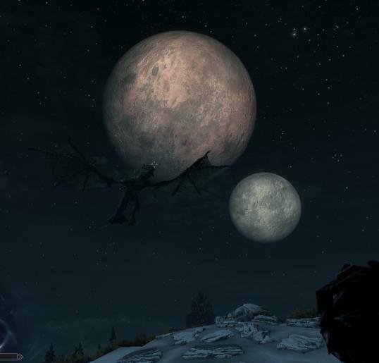 343.JPG