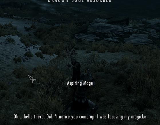 346.JPG